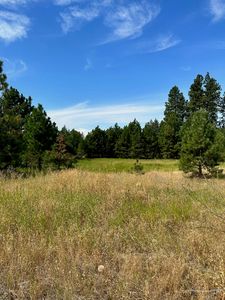 8100 W Greenwood Rd, Spokane, WA, 99224