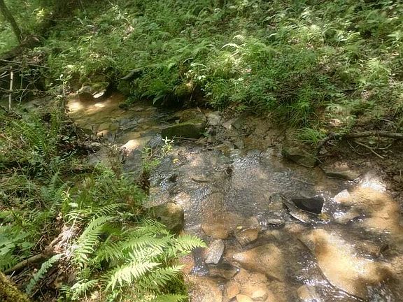2nd image of 0 W Creek Dr #18