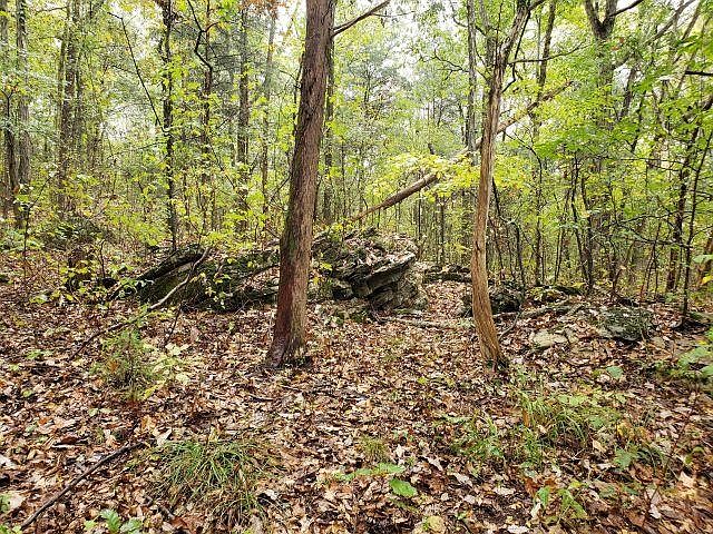 1st image of 101 Alabama Hwy