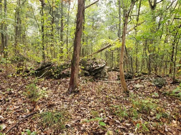 101 Alabama Hwy, Town Creek, AL 35672