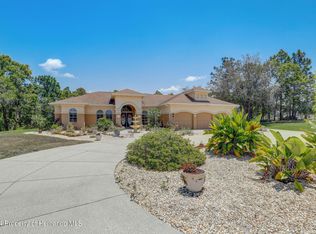 11335 Woodland Waters Blvd, Weeki Wachee, FL 34613