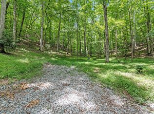 22 E Goldmine Rd, Ellijay, GA 30536