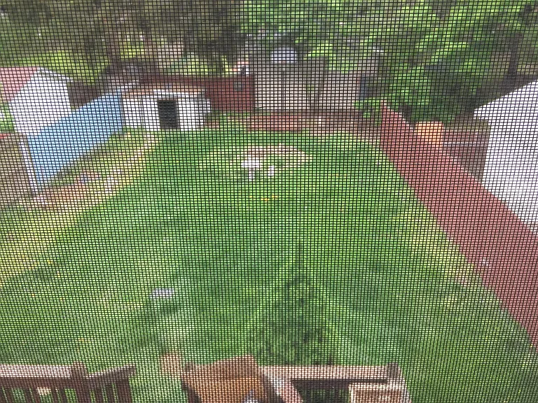 986 Chalker St — Photo 14