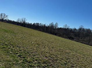 13620 Herald Rd, Silver Point, TN 38582