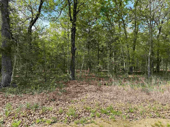 420 County Road 1423, Clarkridge, AR 72623