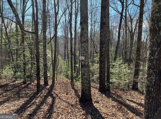 LOT 6 Pickett Mill Ln, Ellijay, GA 30540