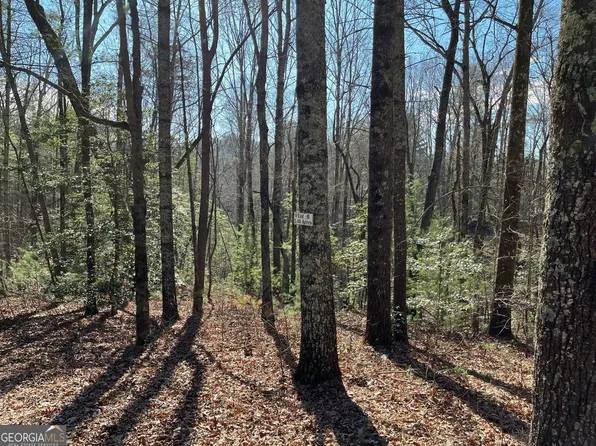 LOT 6 Pickett Mill Ln, Ellijay, GA 30540