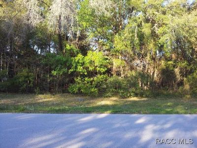 8747 N Golfview Dr, Citrus Springs, FL, 34434