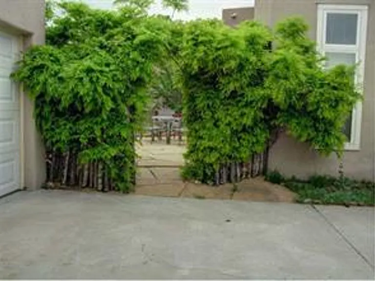 4309 Juniper Hill Ln — Photo 46