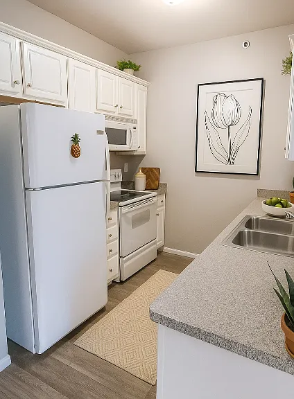 Owens Lake Commons Apartments & Townhomes — Photo 36