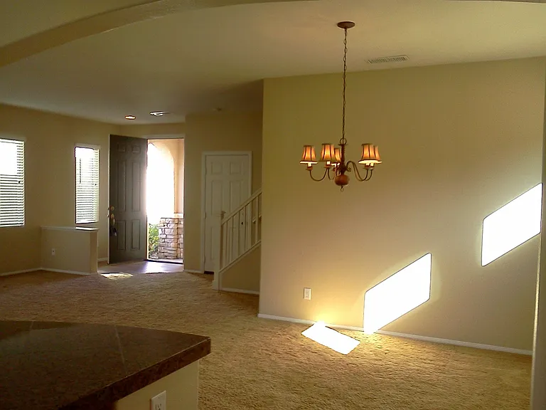 32347 Fernleaf Dr — Photo 13