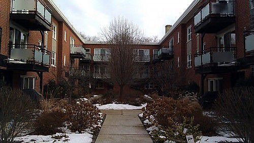 2nd image of 6429 N Damen Ave