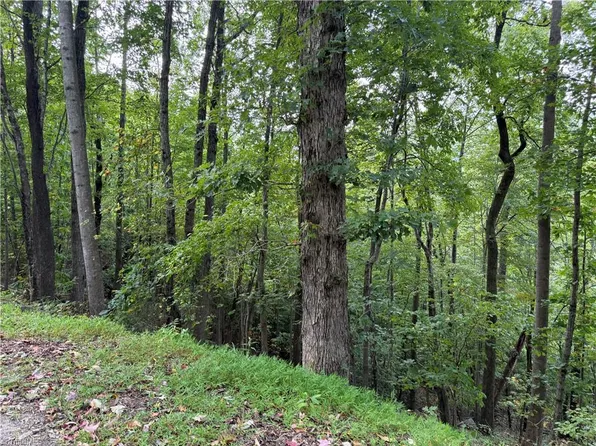 0 Ridge Run Rd Lot 84, Boomer, NC 28606