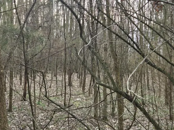 506 Cherry St, Blanchester, OH 45107