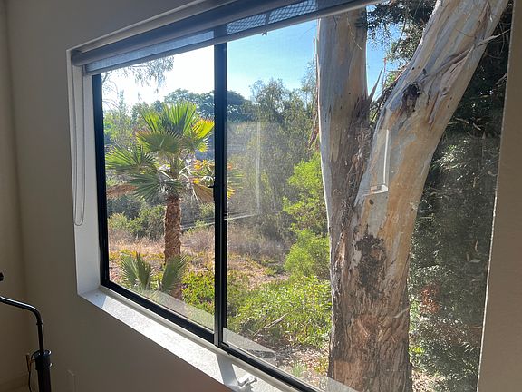 View from SE living room window, looking SE.