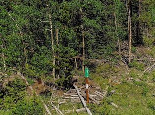 275 Mine Dump Rd, Alma, CO 80420