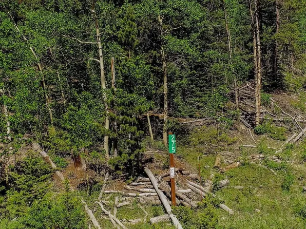 275 Mine Dump Road, Fairplay, CO 80440