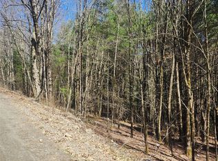114 & 234 Tarbell Hill Rd, Deposit, NY 13754
