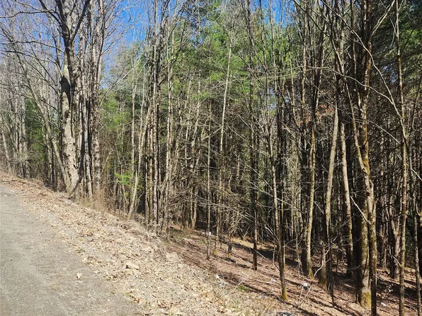 114 & 234 Tarbell Hill Rd, Deposit, NY 13754