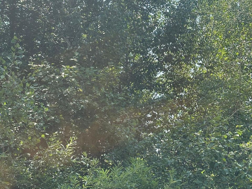 1st image of Near Ginty Lake Rd Tract 1078