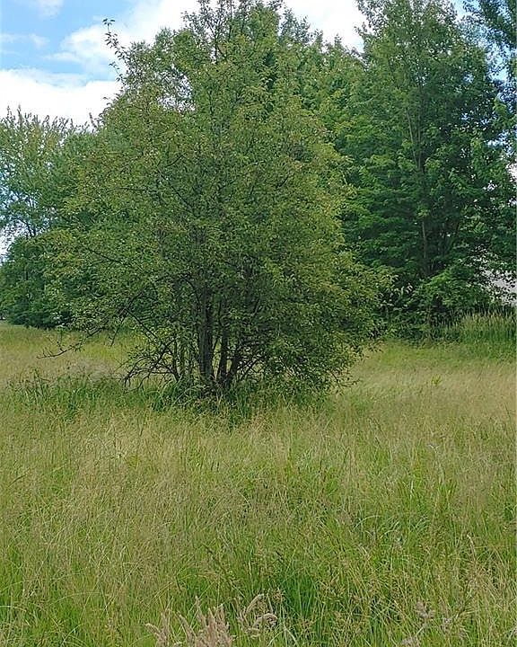2nd image of 38869 Chestnut Ridge Rd