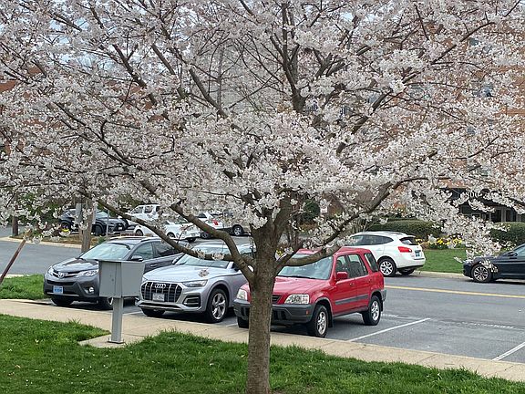 View from the front door in springtime