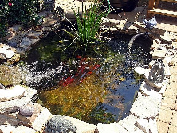 Koi pond facing deck at the back.