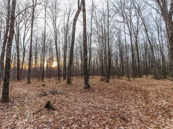 PARCEL 14 Summit Woods, Gleason, WI 54435