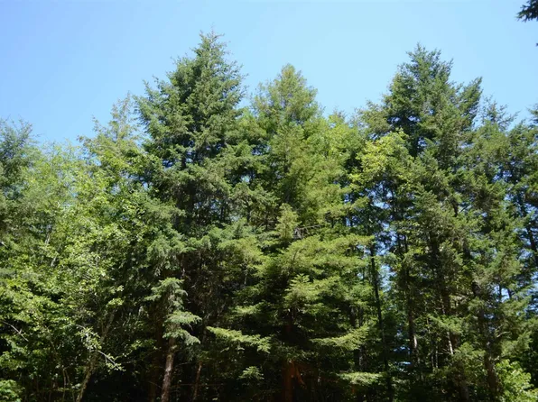 LOT 44 Speer Dr, Crescent City, CA 95531