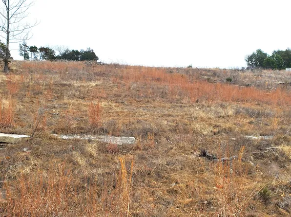 000 Lot 253 Silver Sunset Lane, Kimberling City, MO 65686