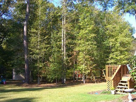 Flat Wooded Back Yard