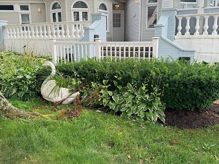 100 1st St #5 — Photo 36