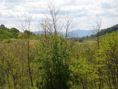 Ginkgo Dr, Laurel Springs, NC, 28644