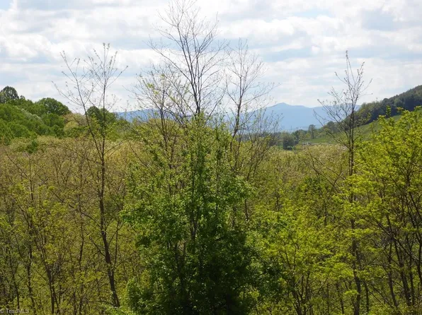 Ginkgo Dr, Laurel Springs, NC 28644