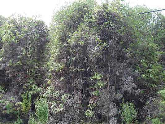 2nd image of 2 Road