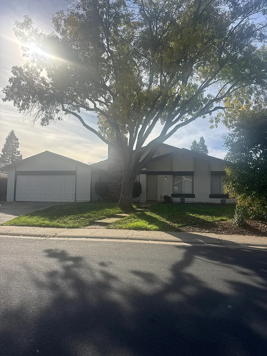 9036 Meadowsweet Way photo 1