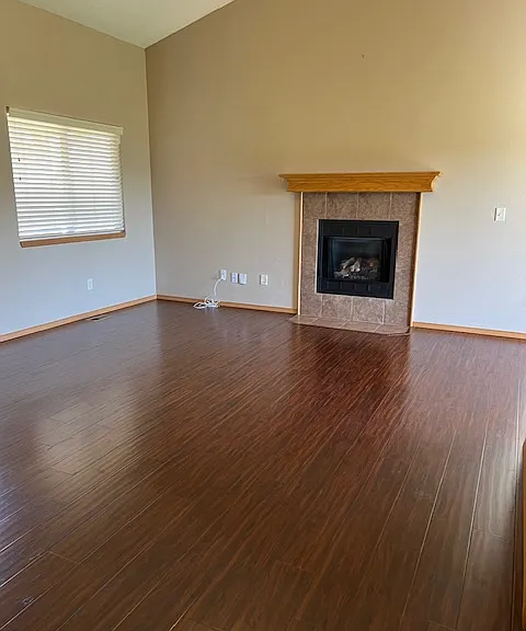 Living Room fireplace