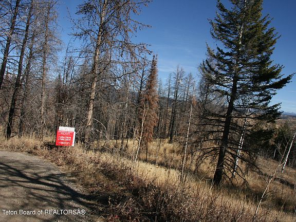 3rd image of Eagle Heart Ln