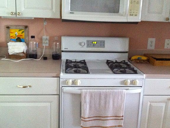 Stove and Microwave-Clean!