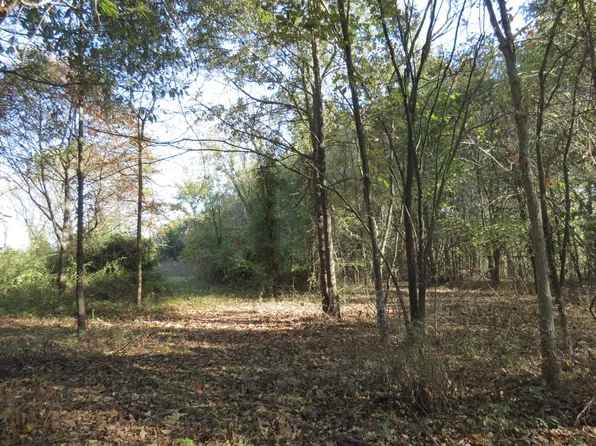 000 Holder Road, Clever, MO 65631