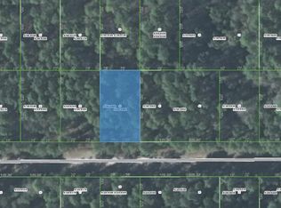 134 Helen Ave, Georgetown, FL 32139
