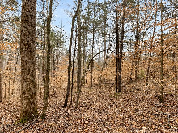 3rd image of 0 Griffintown Rd Lot 2