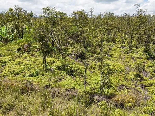 Kaleponi Rd Lot 72, Volcano, HI 96785