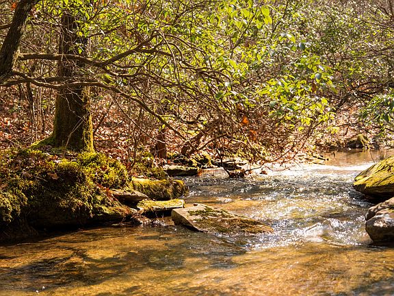 3rd image of 0 Deer Run Rd