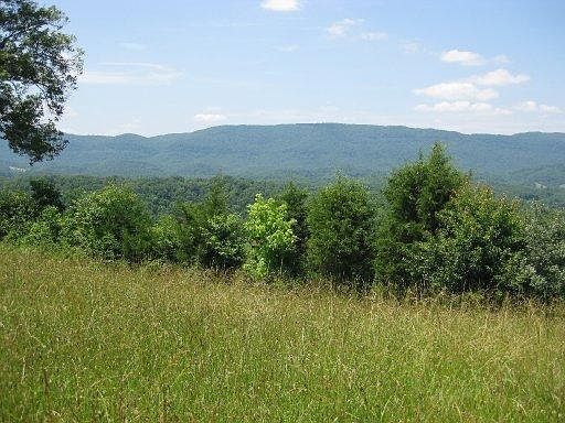 2nd image of Crockett Rd