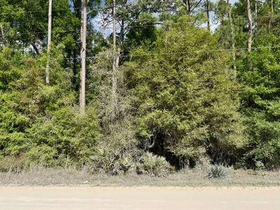 LOT 29 129th Rd, O'Brien, FL, 32071