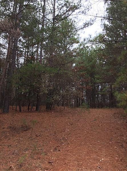2nd image of 1593 Seven Forks Rd