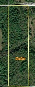 Hannigan Rd, Beaver Island, MI, 49782