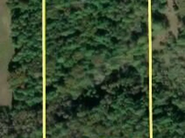 Hannigan Rd, Beaver Island, MI 49782