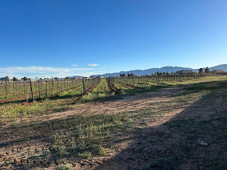 914 E Saguaro Dr — Photo 26